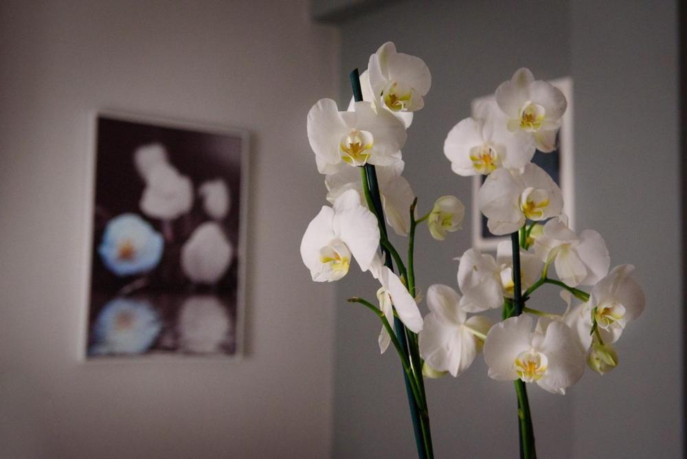 Appartamento Haus Viktoria 1 Limenas  Esterno foto